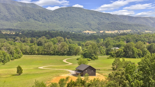 view of mountain feature