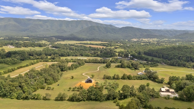 birds eye view of property featuring a mountain view