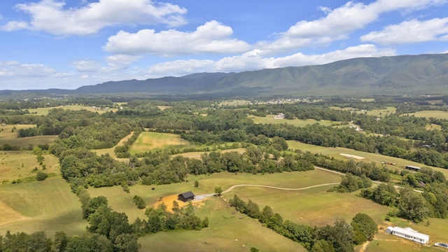 bird's eye view with a mountain view