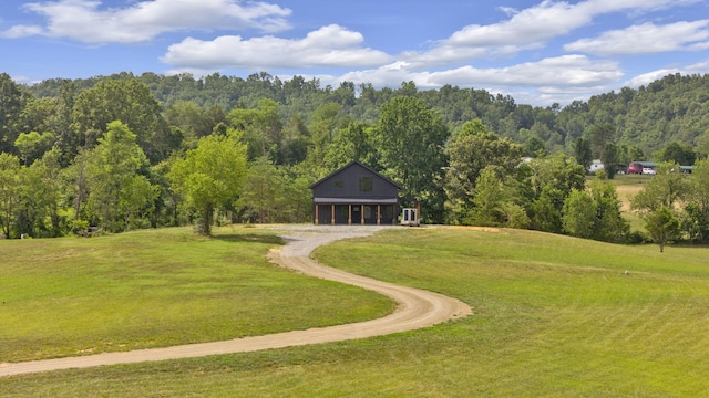 view of community with a yard