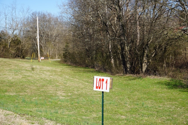 Listing photo 3 for LOT1 Edwina Bridgeport Rd, Newport TN 37821