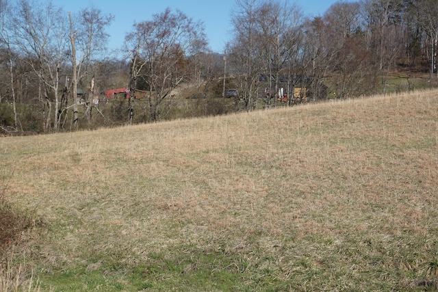 LOT1 Edwina Bridgeport Rd, Newport TN, 37821 land for sale