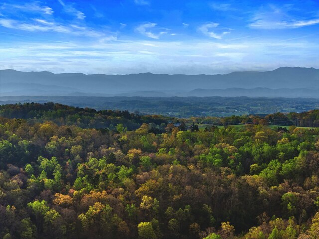 749 Harvest Meadows Dr, Kodak, TN 37764 - property view of mountains featuring a wooded view