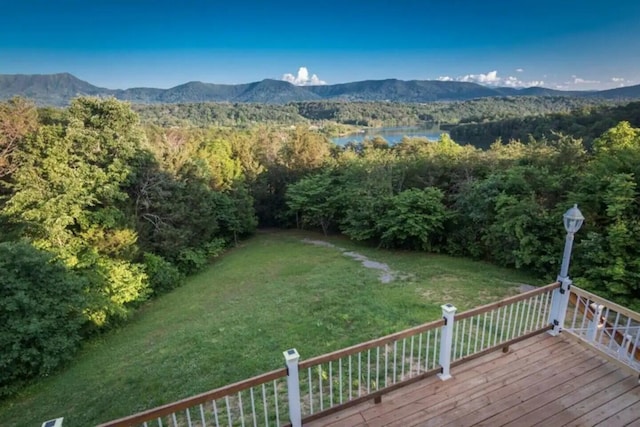 drone / aerial view featuring a mountain view