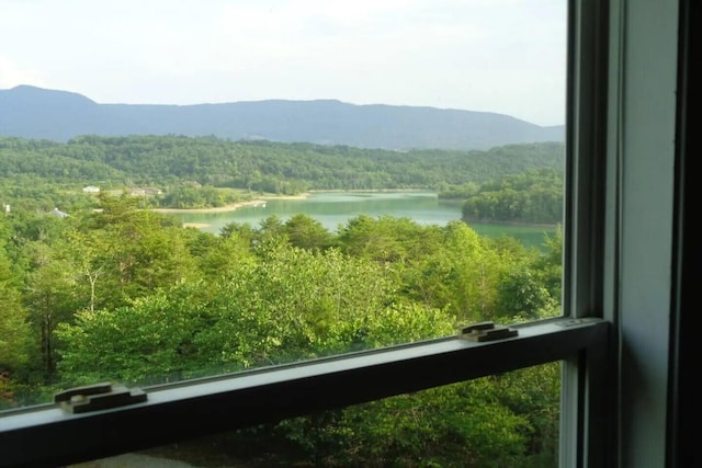 property view of mountains featuring a water view