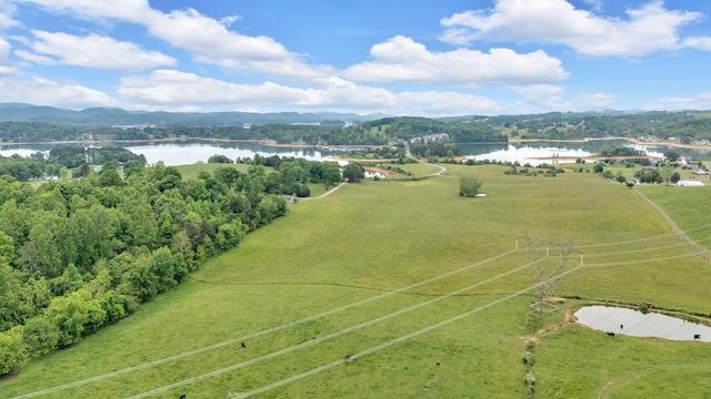 bird's eye view of a water and mountain view