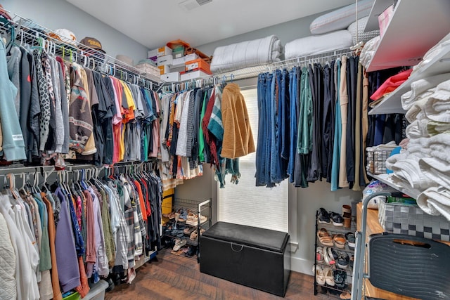 view of walk in closet