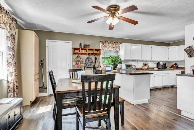 1651 Old Liberty Hill Rd, Morristown, TN 37814 - dining space with dark wood-style floors, ceiling fan, and a textured ceiling
