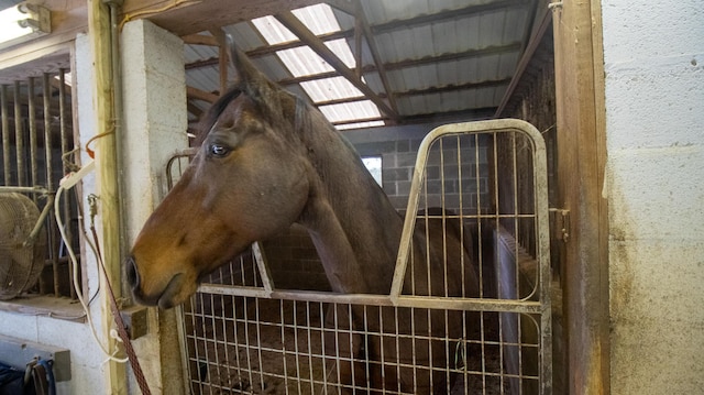 view of horse barn