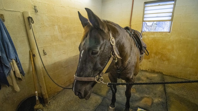 view of stable