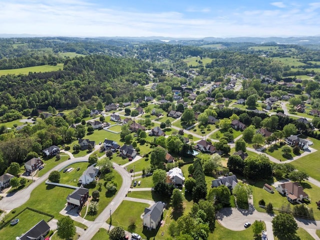 bird's eye view