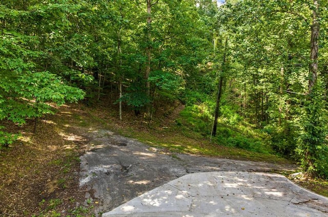 120 Johnson Rd, Mooresburg, TN 37811 - photo 32