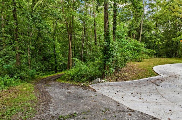 120 Johnson Rd, Mooresburg, TN 37811 - photo 30