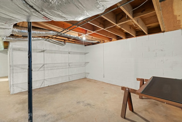unfinished below grade area featuring concrete block wall