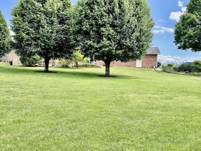 view of yard