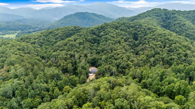 201 Flat Rock Way, Del Rio, TN 37727 - photo 2