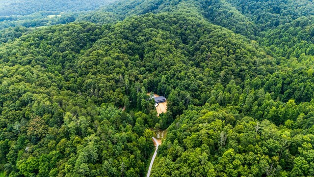 201 Flat Rock Way, Del Rio, TN 37727 - photo 44