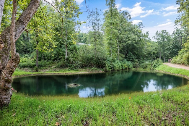 201 Flat Rock Way, Del Rio, TN 37727 - photo 42