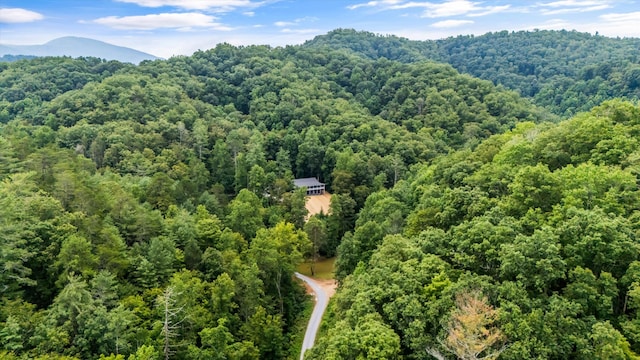 201 Flat Rock Way, Del Rio, TN 37727 - photo 43