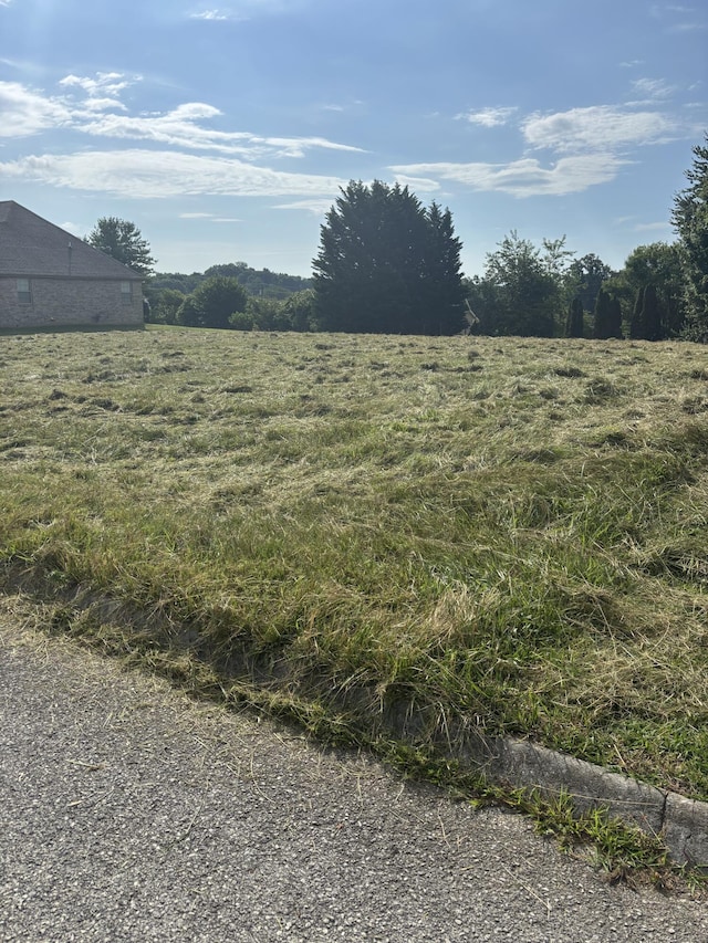 4702 Lockley Ct, Morristown, TN 37813 - photo 8