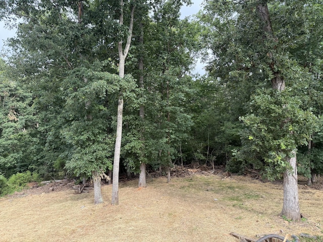 2157 Windy Cove Ln, Talbott, TN 37877 - view of undeveloped land