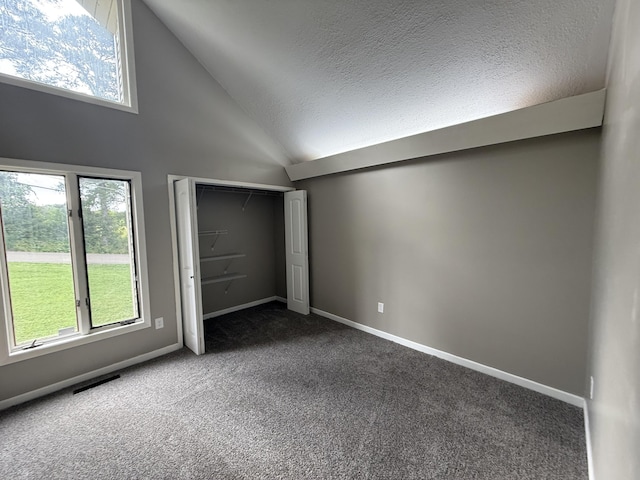 2157 Windy Cove Ln, Talbott, TN 37877 - unfurnished bedroom featuring dark carpet, multiple windows, a textured ceiling, high vaulted ceiling, and a closet