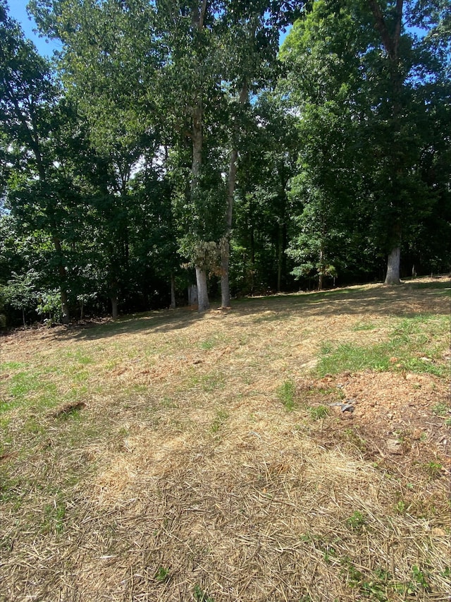 2157 Windy Cove Ln, Talbott, TN 37877 - photo 38