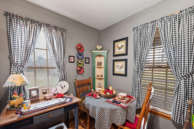 dining area featuring a wealth of natural light and a textured ceiling