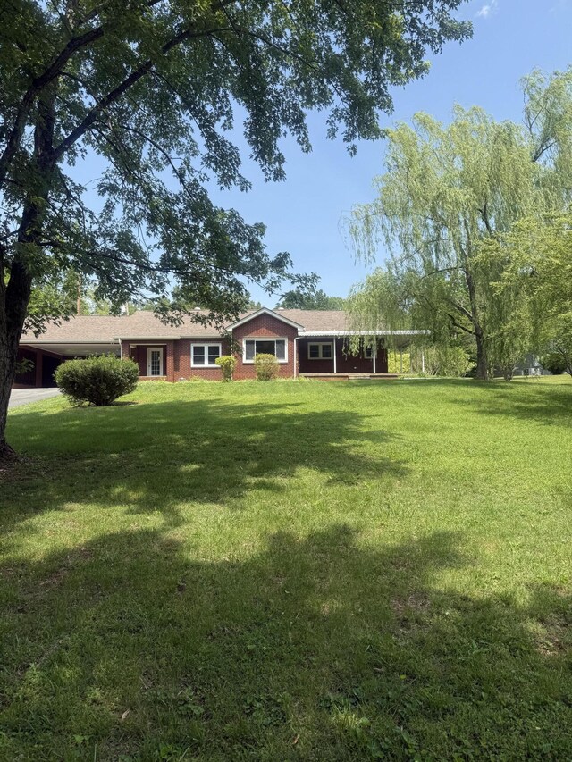 240 Clifton Heights Rd, Newport, TN 37821 - view of yard