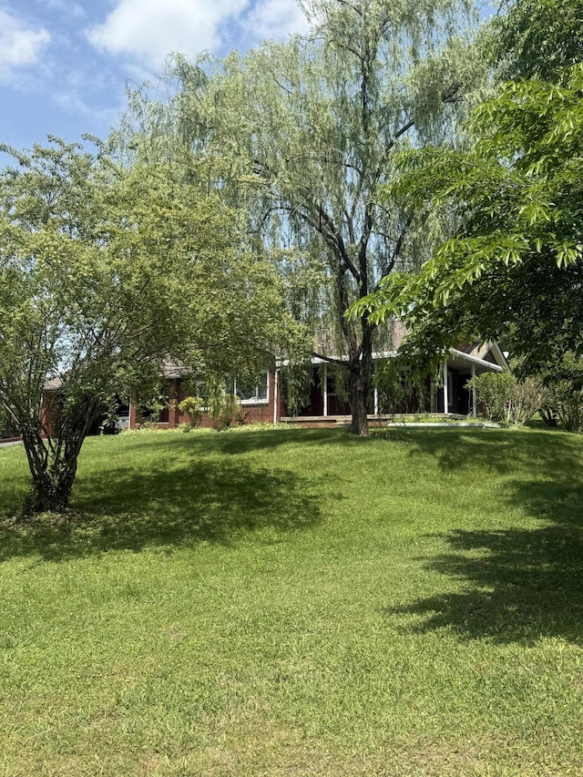 240 Clifton Heights Rd, Newport, TN 37821 - view of yard