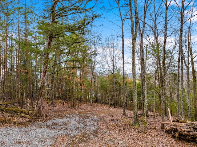 Listing photo 2 for LOT2 Needles Way, Sevierville TN 37876