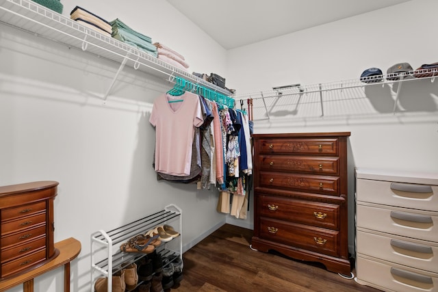 walk in closet with dark wood finished floors