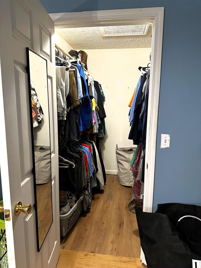 spacious closet featuring light hardwood / wood-style floors