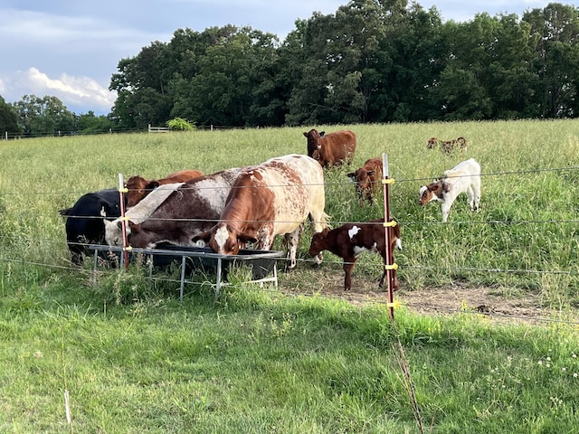 view of stable with a rural view