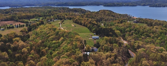 bird's eye view featuring a water view and a forest view