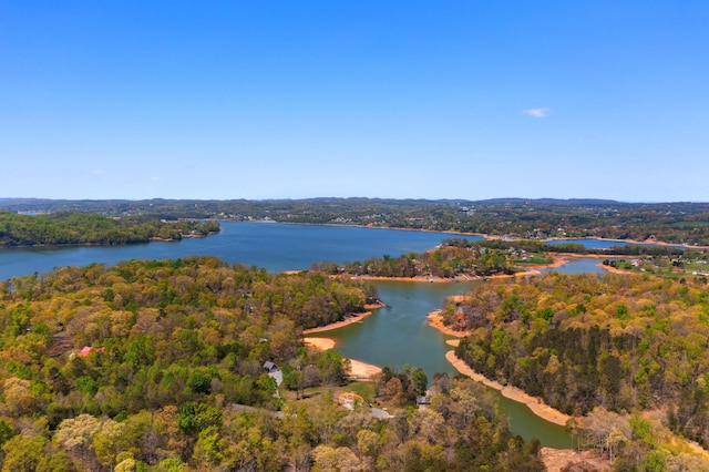 birds eye view of property with a water view and a view of trees