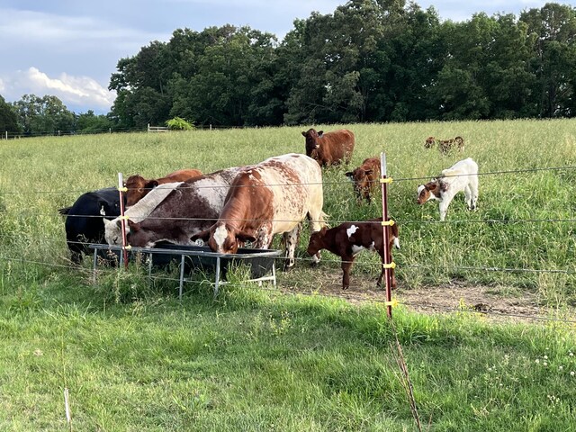 view of horse barn featuring a rural view