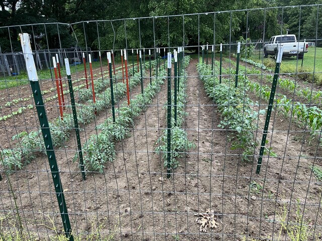 view of gate featuring a vegetable garden and fence