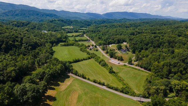0 Dupont Rd, Seymour, TN 37865 - photo 12