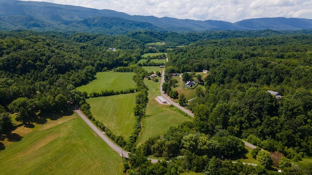 0 Dupont Rd, Seymour, TN 37865 - photo 10