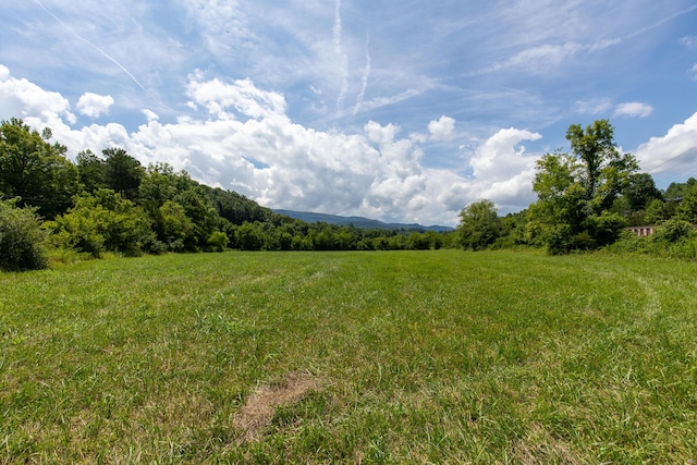 0 Dupont Rd, Seymour, TN 37865 - photo 18