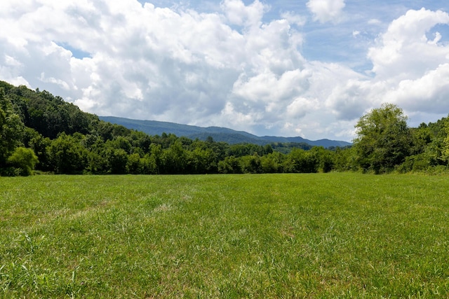 0 Dupont Rd, Seymour, TN 37865 - photo 19