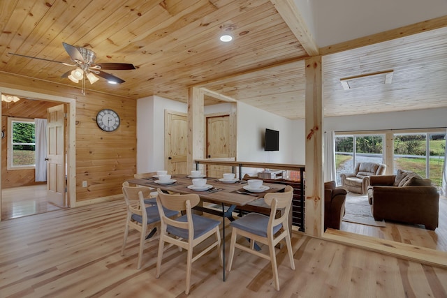 dining space with wood ceiling, ceiling fan, light wood-type flooring, and wooden walls