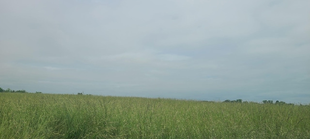 LOT5 Valley Home Rd, Dandridge, TN 37725 - photo 4