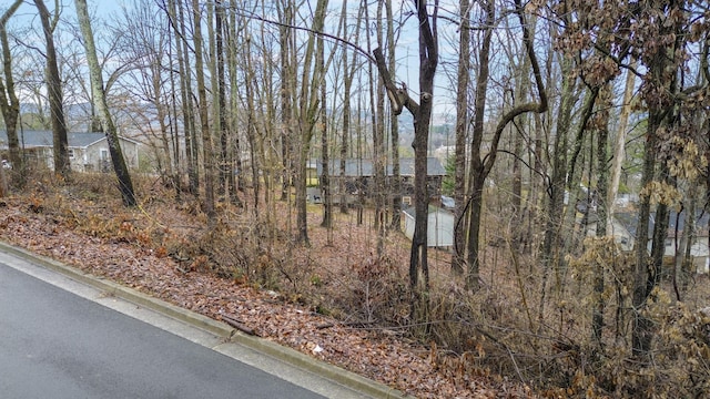 Listing photo 3 for LOT42 Sherwood Dr, Morristown TN 37814