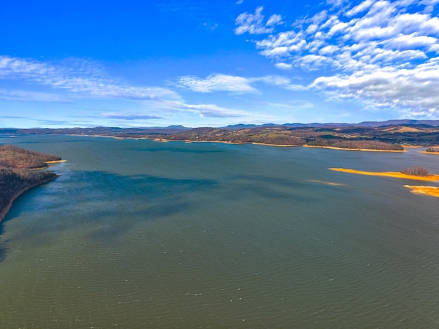 water view featuring a mountain view