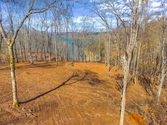 view of nature with a forest view