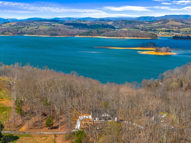 property view of water featuring a mountain view