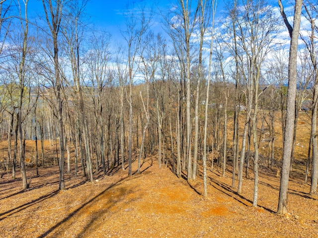 exterior space with a wooded view