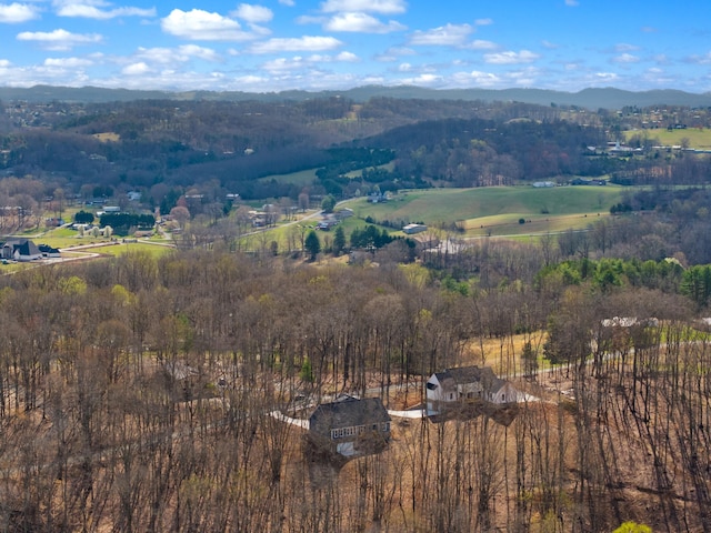aerial view featuring a forest view, a mountain view, and a rural view